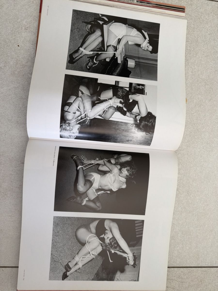 Bücher: Book " Pin-Ups" excellent condition – Gebraucht aus Martigny von Jacoosh1234 6