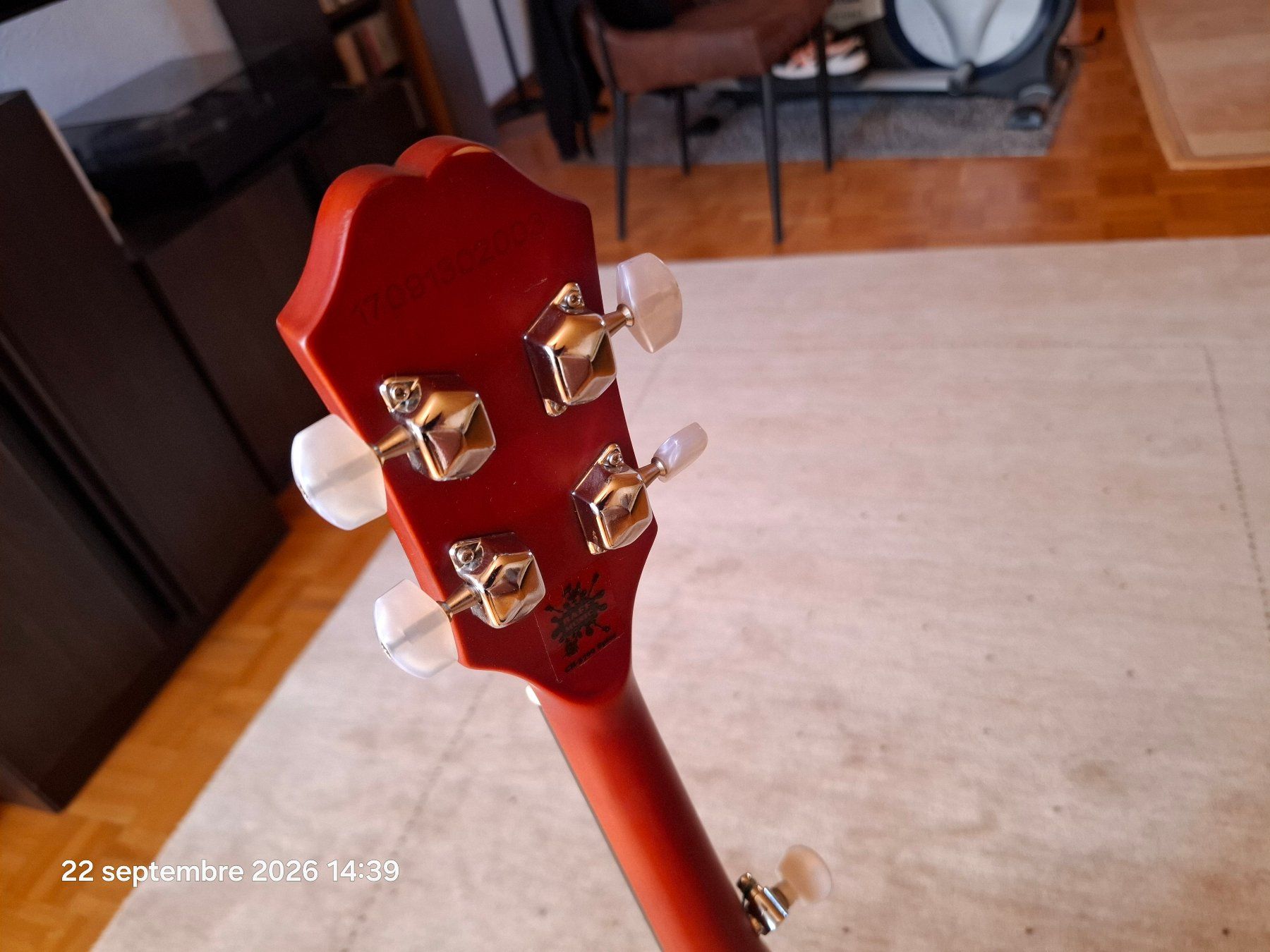 Epiphone Strumenti musicali: Banjo Epiphone 5 cordes – Usato da Yverdon-les-Bains venduto da Dan00 5