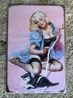 Pin up katze
