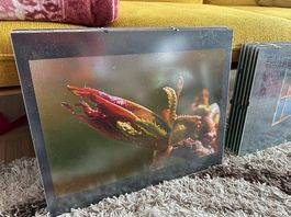 Lot de 10 cadres sous verre décoratifs différents + 3 cassé