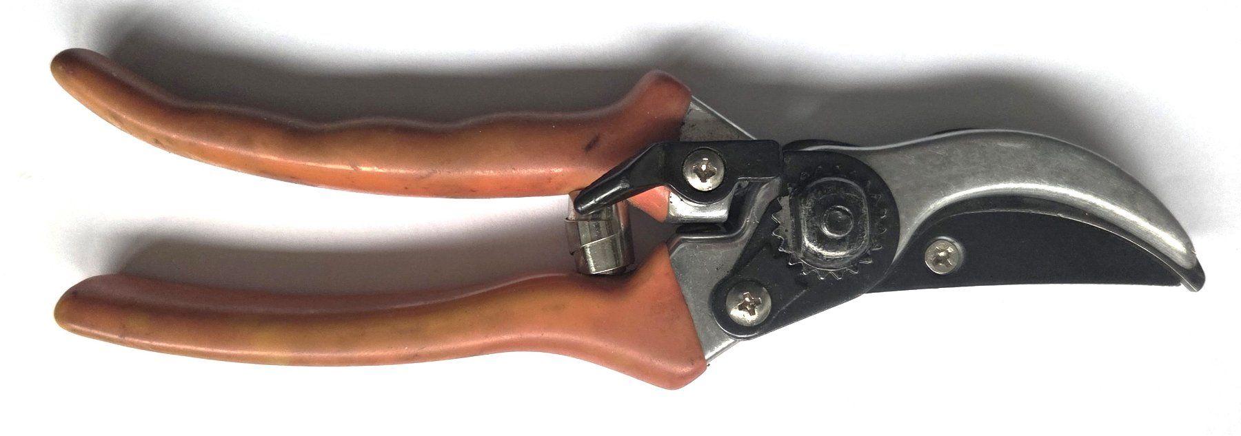 Tous les outils: Gartenschere, System Felco – D'occasion à Bottighofen par Absaras 1