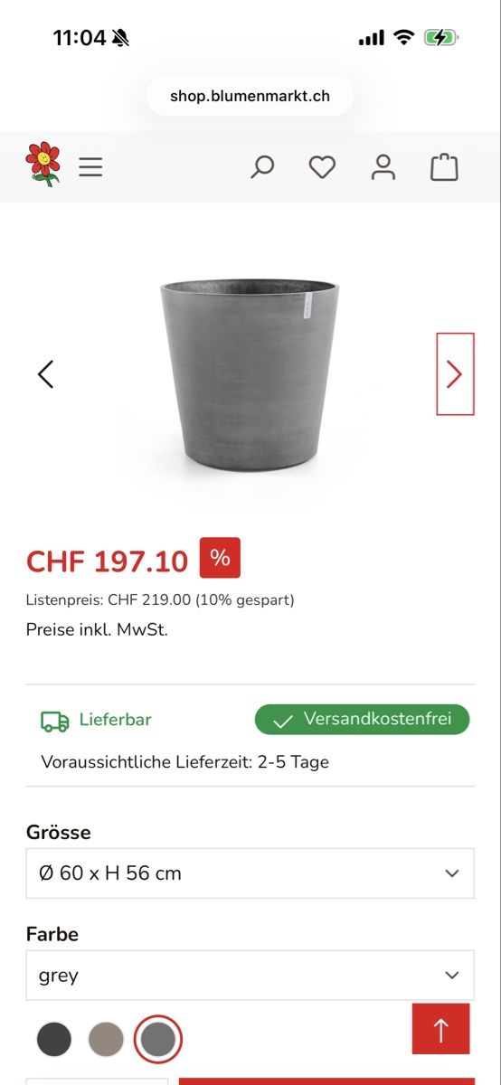 Piante & sementi: Grosse Hortensie / Topf mit Rollen – Usato da Zürich venduto da seb_8rsb 5