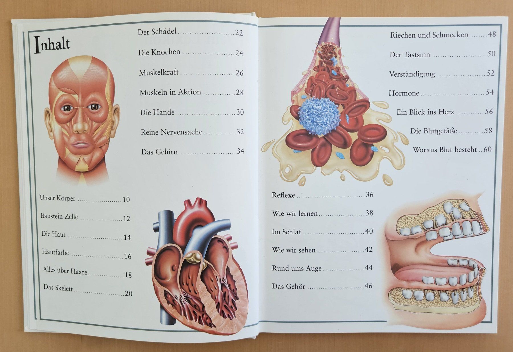 Libri: Kinderlexikon: Mein Körper – Usato da Schaffhausen venduto da asyouwestley 2