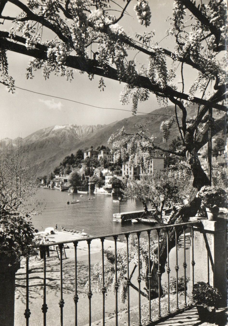 Cartes postales: Ascona – D'occasion à Melano par pisonsdro