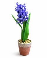 Violette Hyazinthe im Topf – dekorative Blume – 26 cm