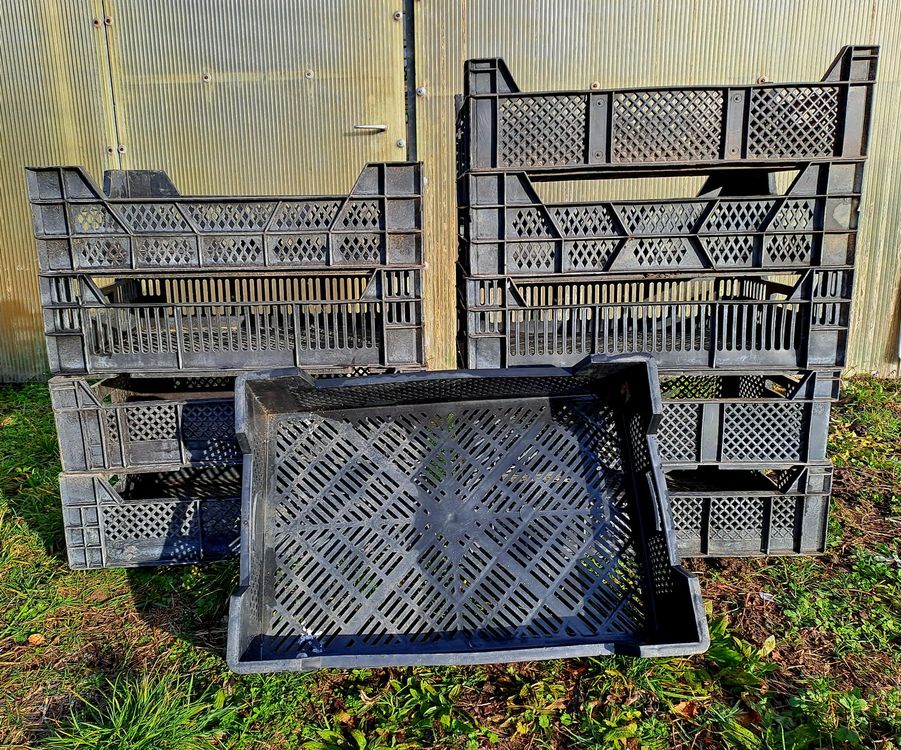 10 Stk Gemüsekiste Kartoffelkiste Lagerboxen 60x40x18,8cm Kunststoff Gastlando