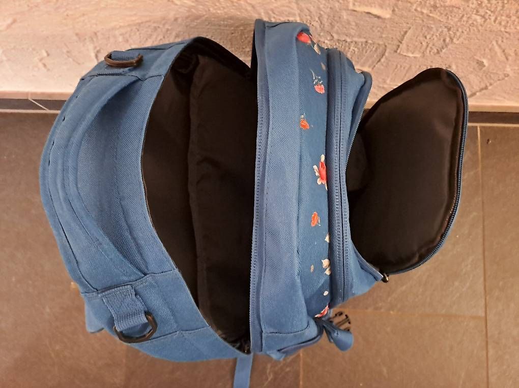 Borse & Zaini: Schulrucksack neu! – Usato da Liestal venduto da daspi01 2