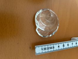 SWAROVSKI  Sammlung Auflösung  SEESCHNECKE
