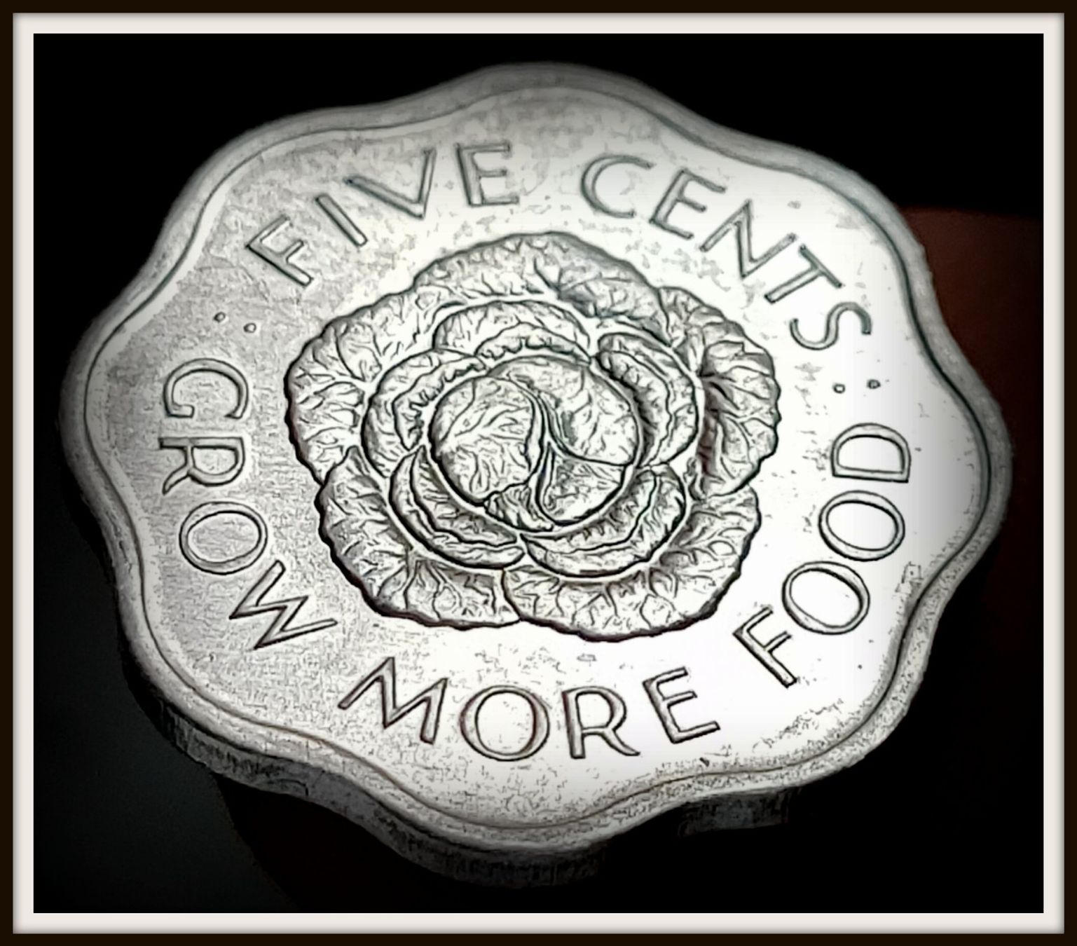 Tutti le monete: SEYCHELLEN 5 CENTS 1975 UNZ. – Nuovo (secondo la descrizione) da winterthur venduto da CoinPassion