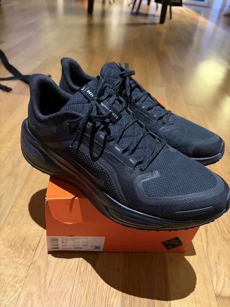 Nike Scarpe da uomo: Nike Air Zoom Pegasus 41 GTX – Usato da Luzern venduto da alf_289m