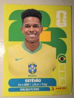 Panini BRA 20 FIFA World Cup 2026