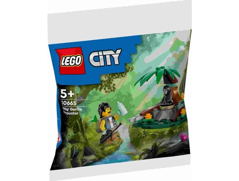 Lego Giocattoli: LEGO 30665 – Nuovo e nell'imballaggio originale da Oberbuchsiten venduto da roogz