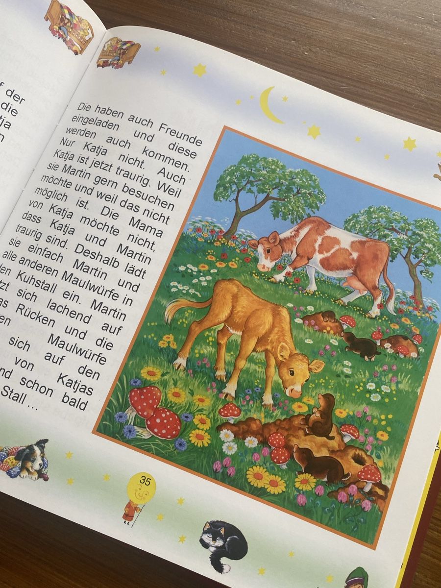 Libri: Bilderbücher/Vorlesebücher mit CD – Usato da Urdorf venduto da Bets4 4