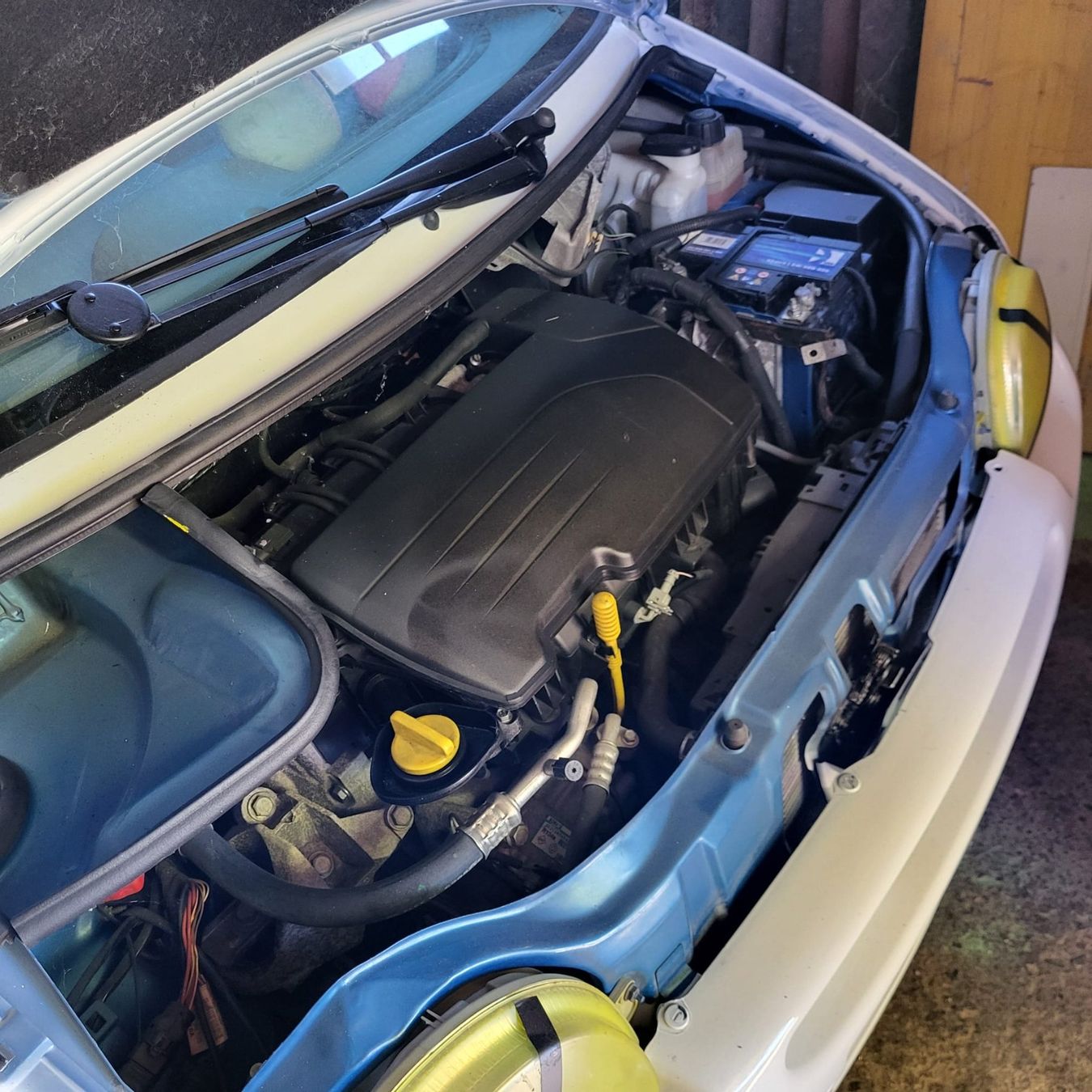 Renault Automobili: Renault Twingo Projekt – Usato da dottikon venduto da rsdesigne 3