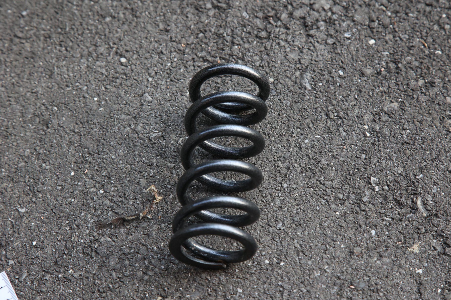 Il mondo degli animali: EXT C75 375 lbs Coil Feder – Usato da Zug venduto da Mtb09 1