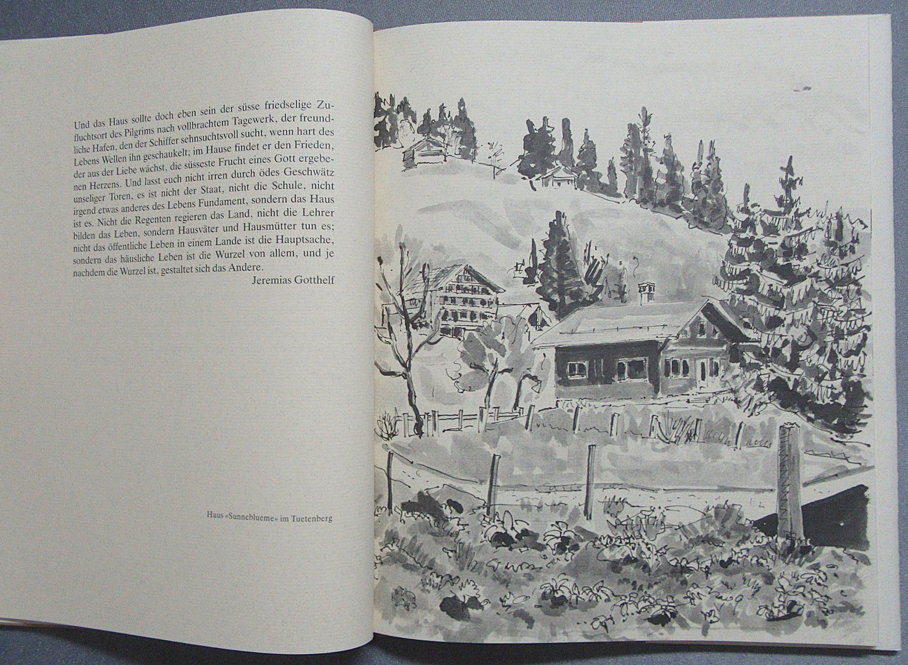 Libri: Braunwalder-Skizzen von Ernst Weber – Usato da Auenstein venduto da Padabimbim 1