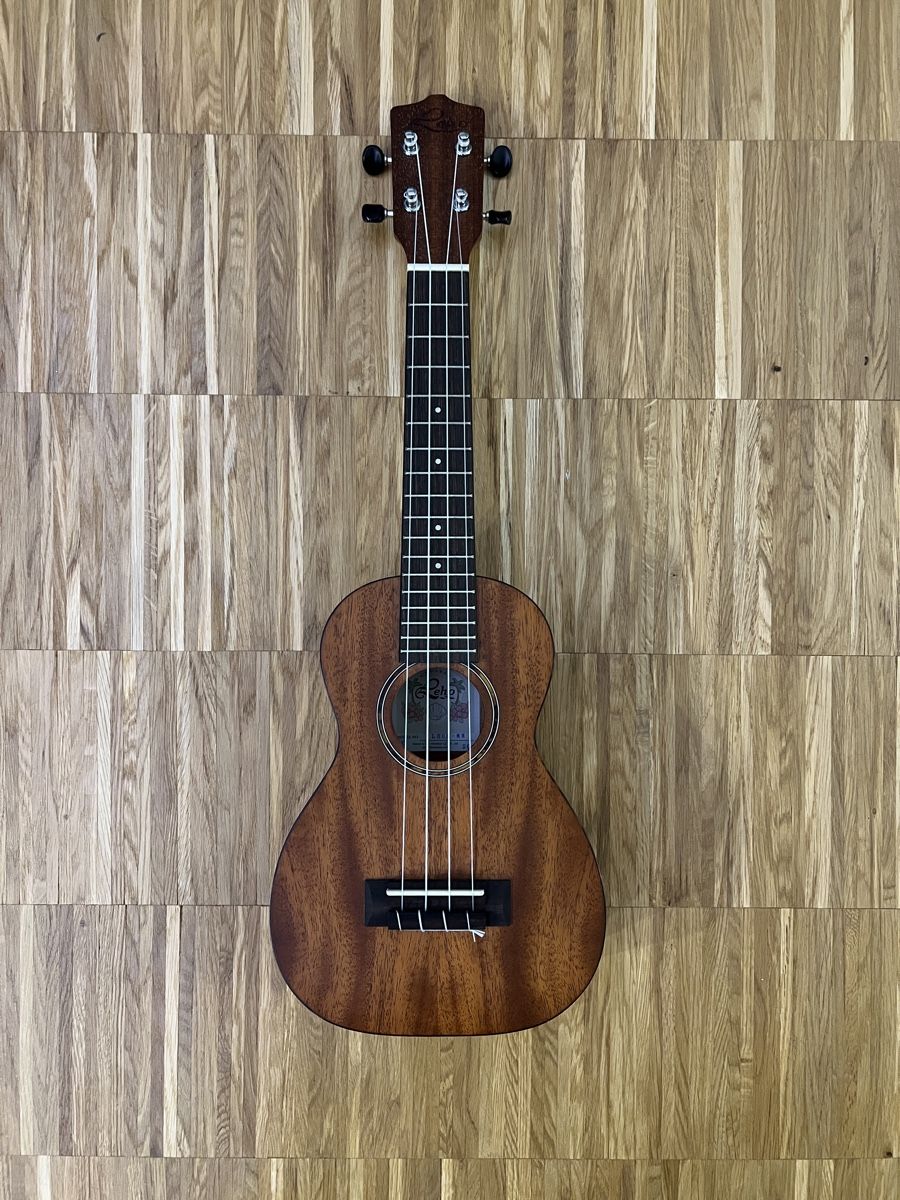 Strumenti musicali: Ukulele – Usato da Zollikerberg venduto da hel_5dlz