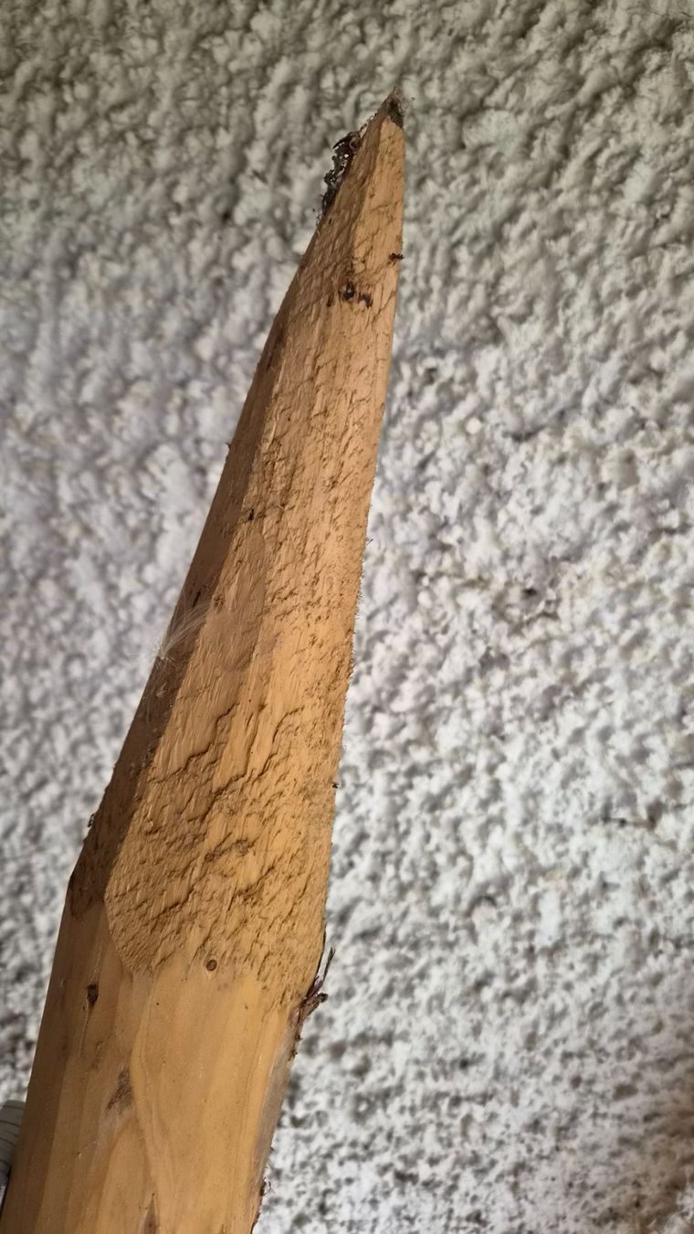 Articoli in legno: Holzpfahl – Usato da Bischofszell venduto da -fr-5 3