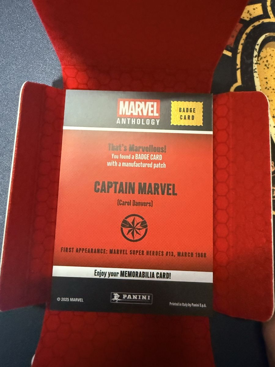 Panini Carte collezionabili: Marvel Panini – Nuovo (secondo la descrizione) da Pomy venduto da Asw.luxury 2