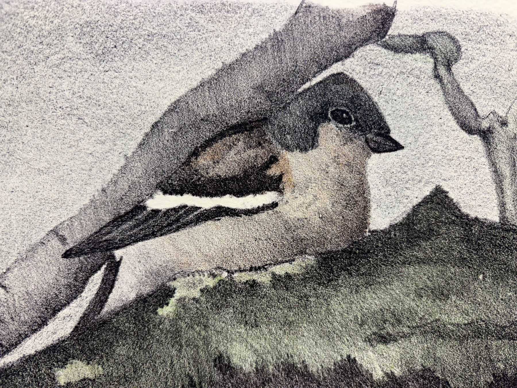 Grafica & Litografie: DOMINIQUE COSANDEY LITHOGRAPHIE ORIGINALE "OISEAU" – Usato da Genève venduto da aic_p8ld