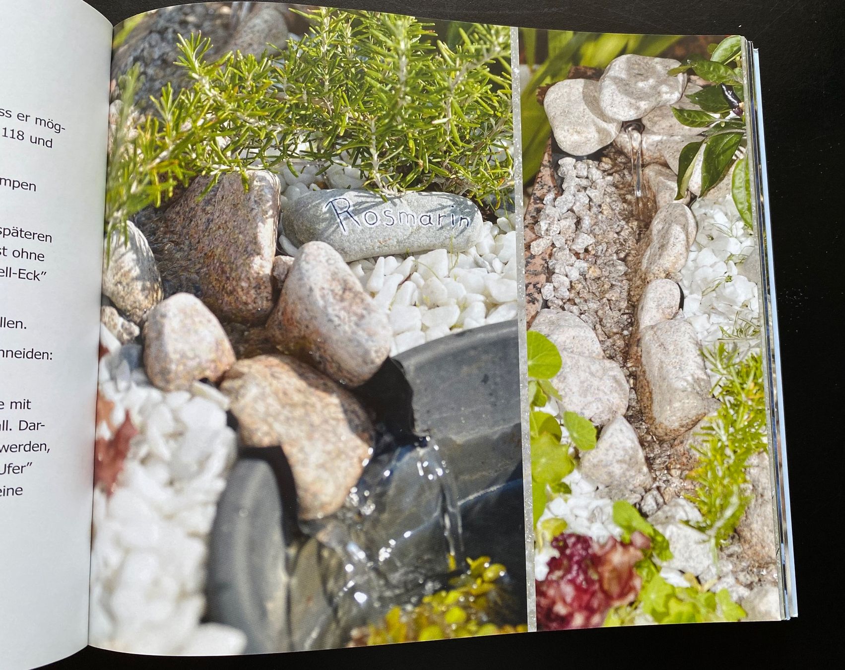Libri: Kleine Wasserwelten – Usato da Nussbaumen AG venduto da schuba2000 3