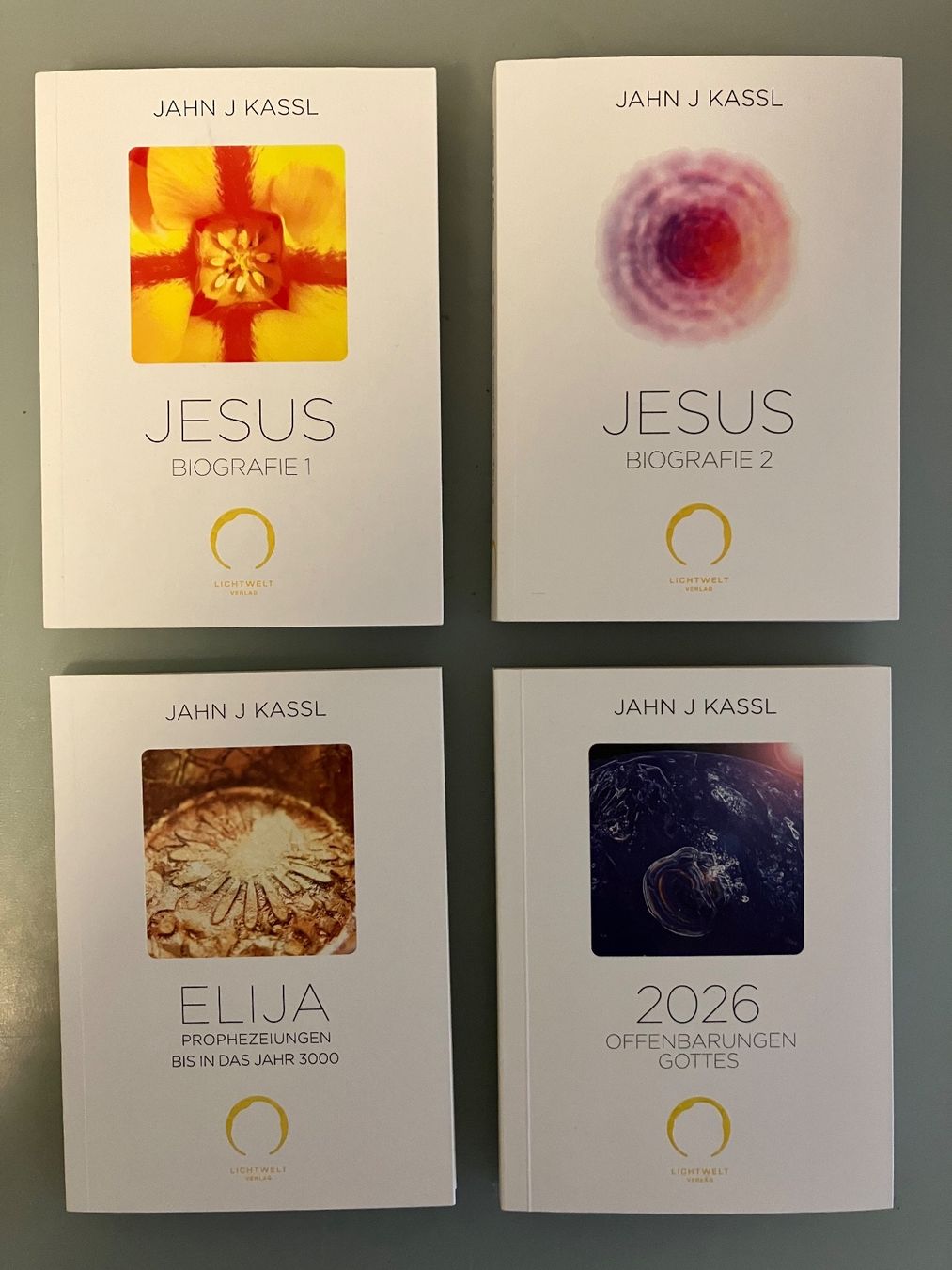 Libri: Bücherpaket vom Lichtweltverlag – Nuovo (secondo la descrizione) da Seuzach venduto da lambstar121