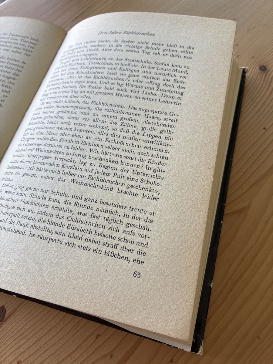 Libri: Stefan und seine Brüder / Hans Adam – Usato da Männedorf venduto da lachen2011 1