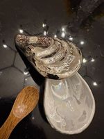 Platin Auster Rosenthal Salzgefäss mit Holzlöffel