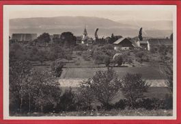 BETTENS
