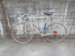 Vintage Tigra Rennvelo ab 1.--