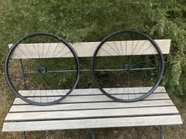Fulcrum Laufradsatz 28“