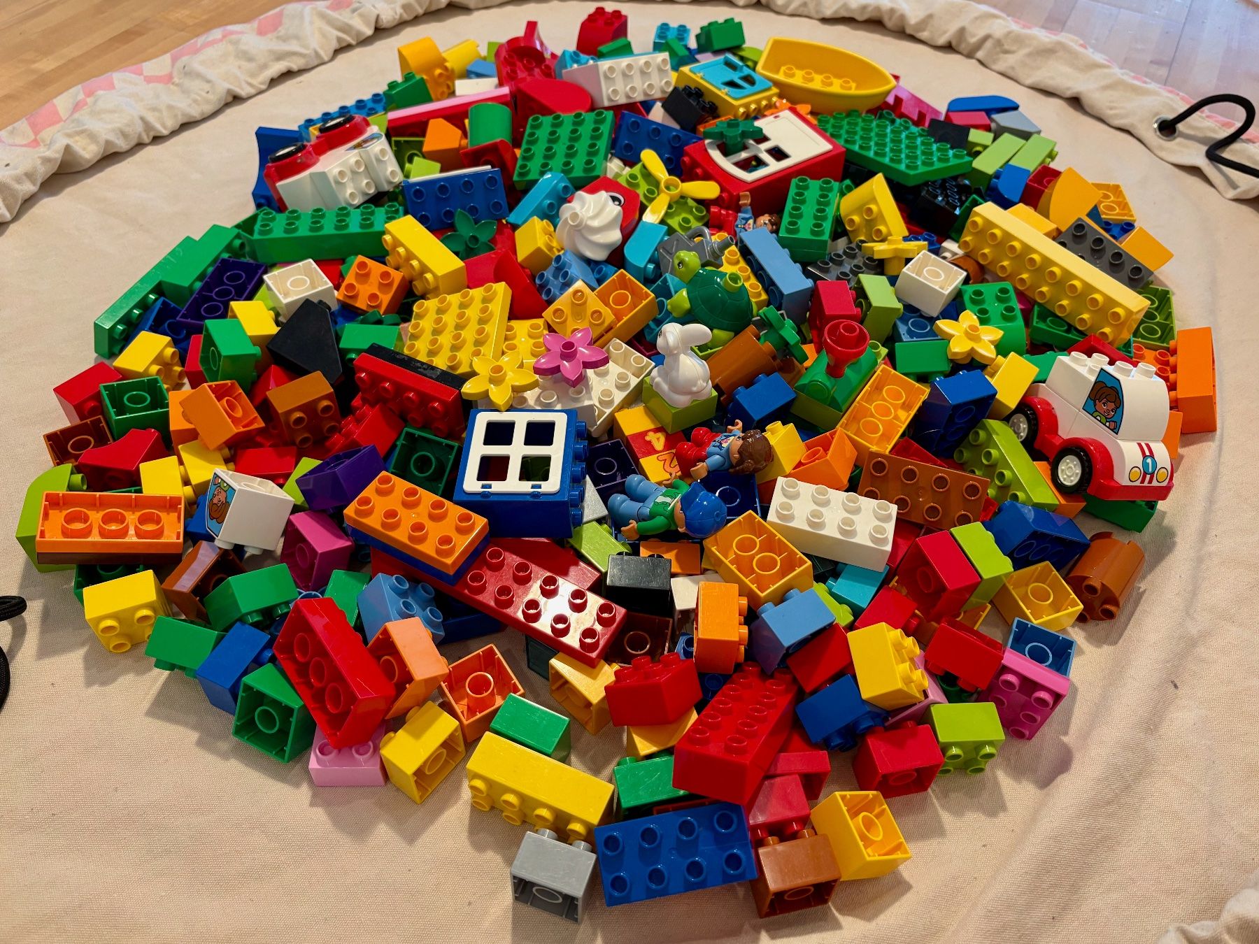 Lego Giocattoli: Duplo-Sammlung mit play&go-Spielzeugsack – Usato da Zürich venduto da AxNy 3