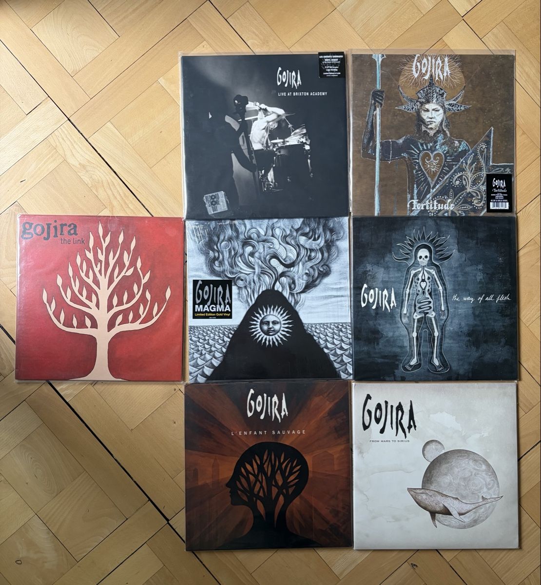 Dischi in vinile: GOJIRA – Usato da Zürich venduto da Jerome.G.