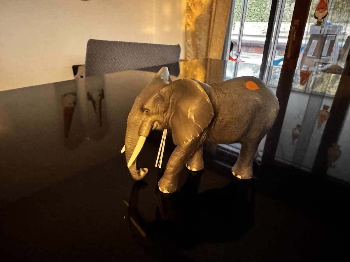 Tiptoi Giochi: Tiptoi Spielfigur Elefant - Afrika – Usato da Olsberg venduto da mel_jkr8 1