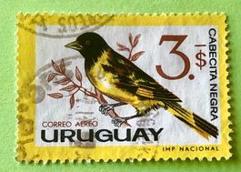 BRIEFMARKEN AUS  Uruguay  Magellanzeisig  GESTEMPELT  