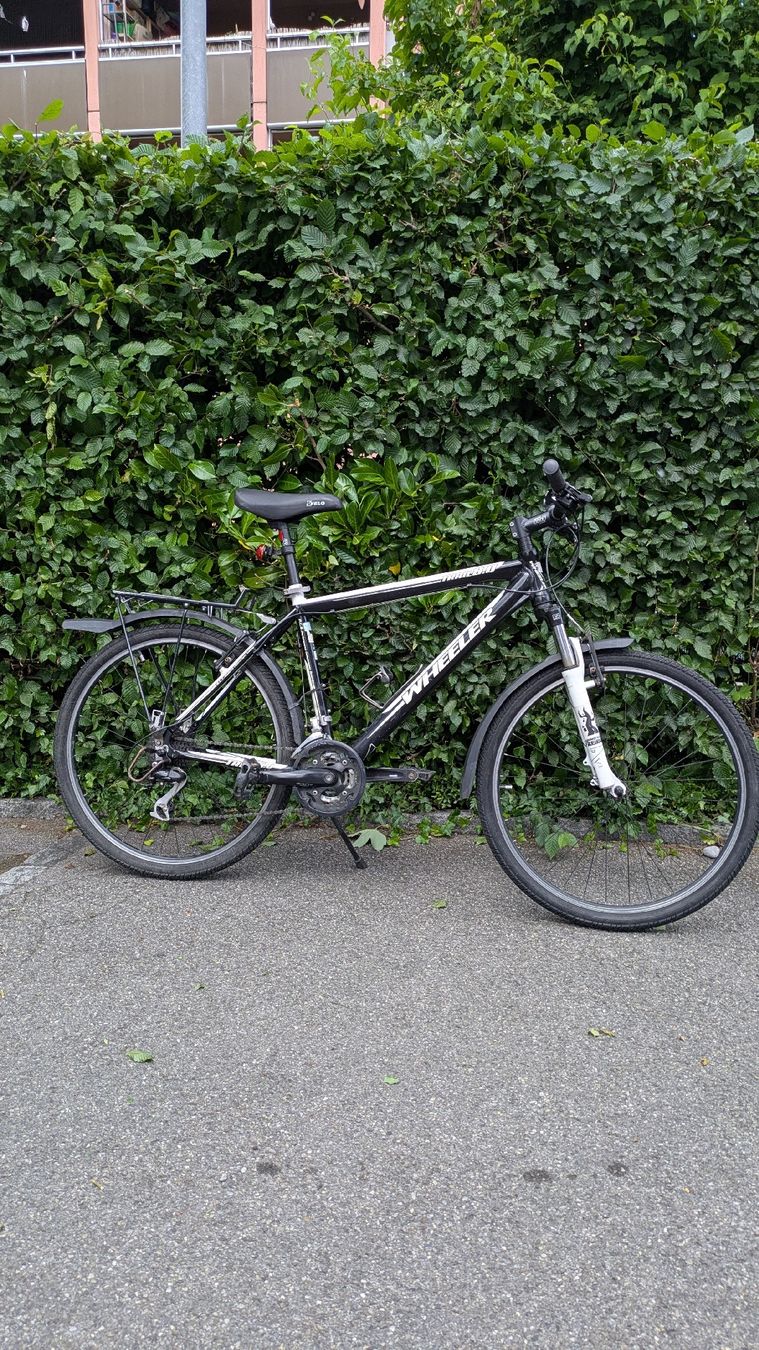 Wheeler Biciclette: Wheeler 26" Citybike – Usato da Lenzburg venduto da Okikukok 1