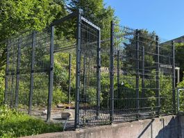 Günstiger Metallzaun, robust und stabil, Selbstabbau!