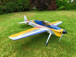 Iconic F3A Modell