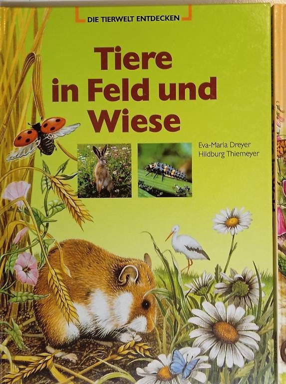 Libri: DIE TIERWELT ENTDECKEN – Usato da Flumenthal venduto da max4534 3