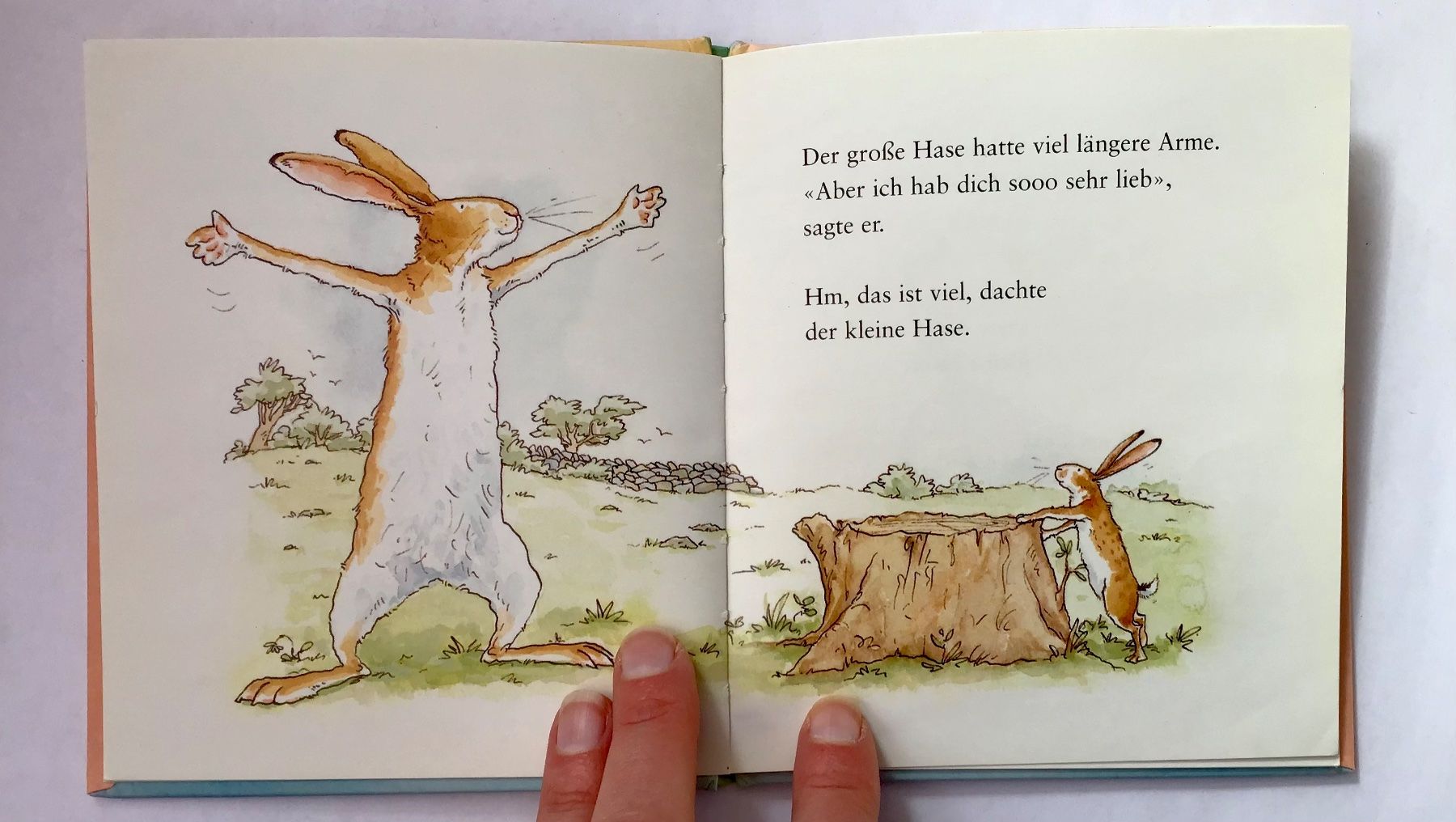 Libri: Weisst du eigentlich, wie lieb ich dich hab? – Usato da Bubendorf venduto da Alpenheidi 7