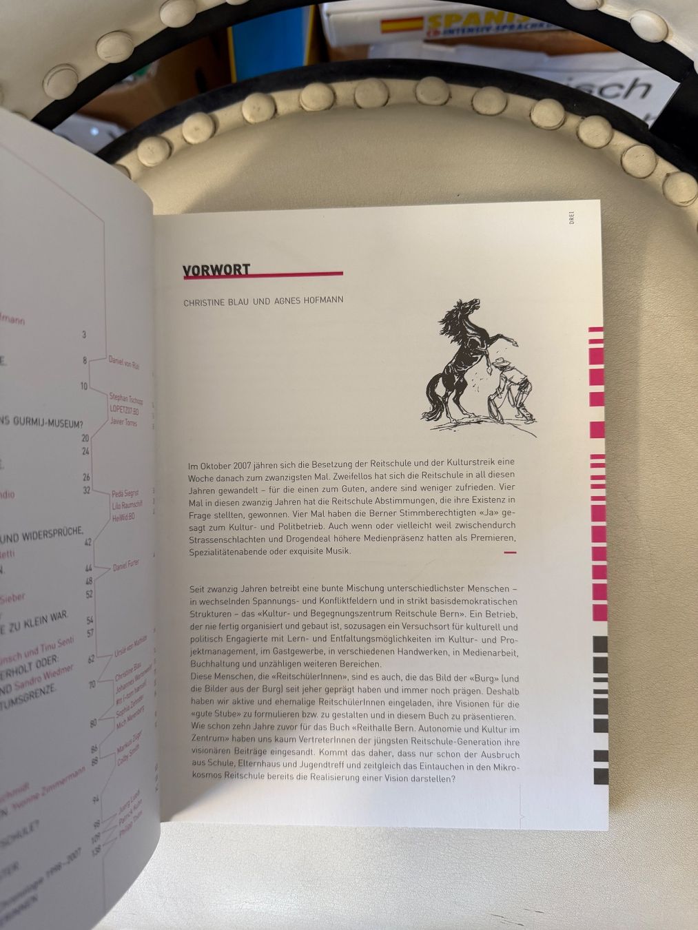 Libri: 20 Jahre Reitschule Bern – Usato da Dietikon venduto da Buchantiqdietikon 1