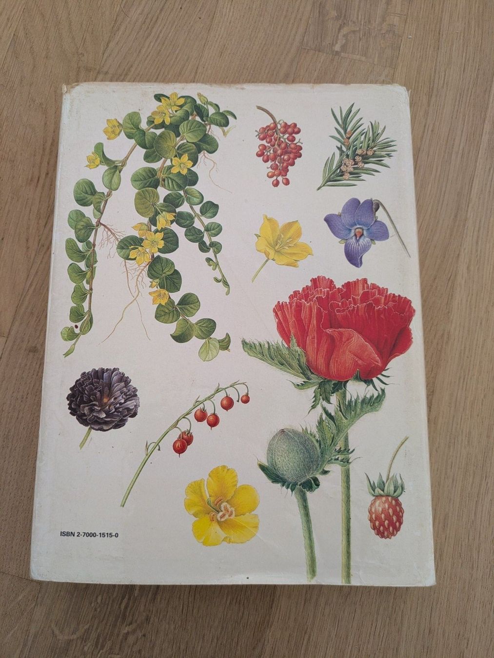 Libri: Gründ - Plantes médicinales – Usato da Lausanne venduto da RR-CH 1