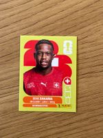Panini Sammelkarte Zakaria 2026