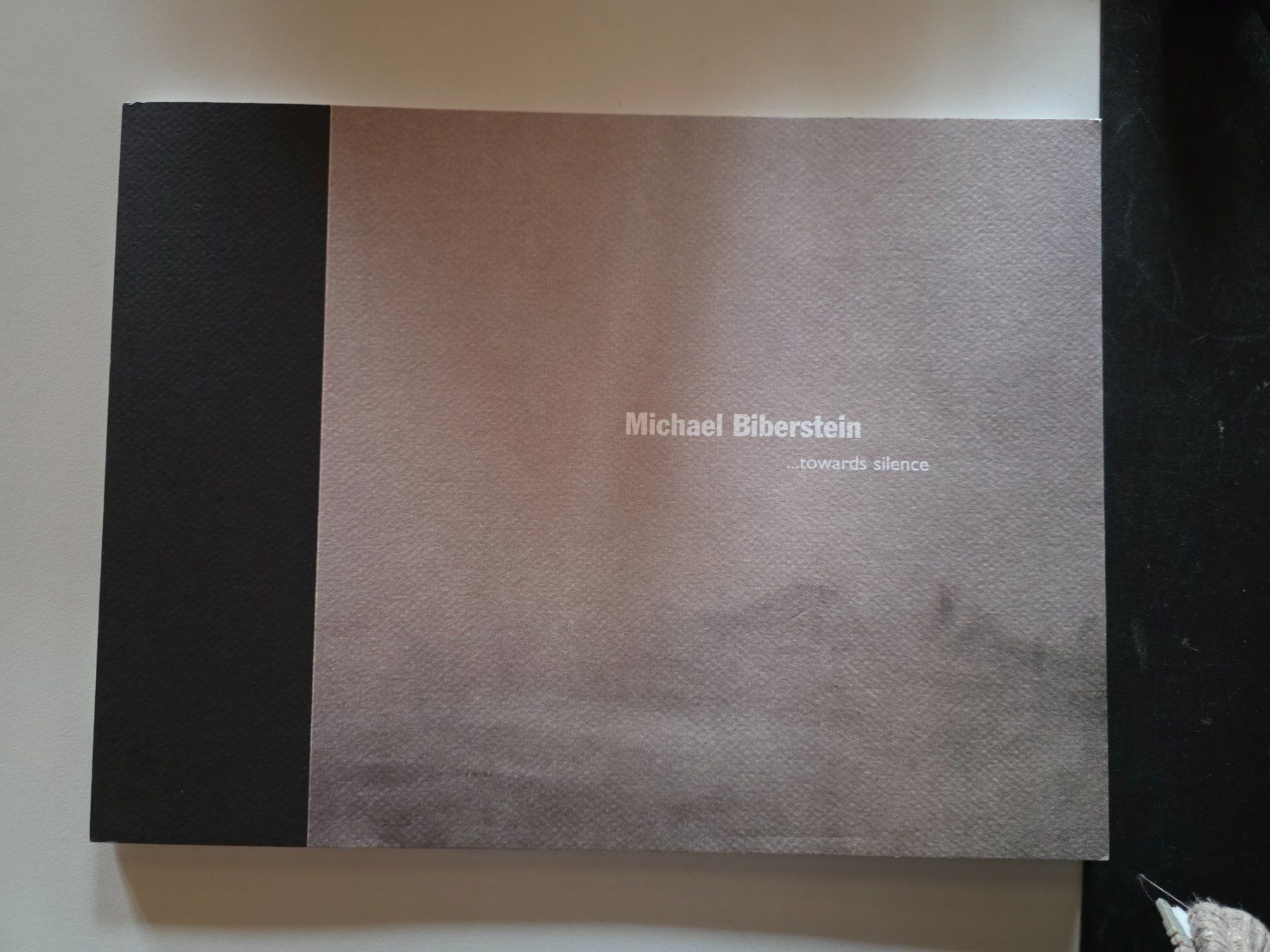 Libri: Kunst Katalog: Michael Biberstein ... towards silence  2002 – Usato da Walterswil BE venduto da Lonitti