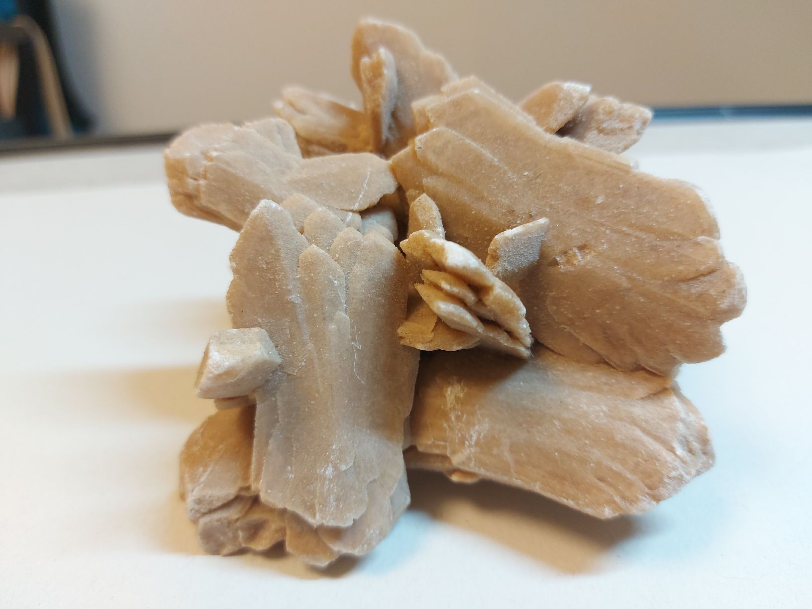 Mineralien & Heilsteine: Wüstenrose aus Tunesien – Gebraucht aus Bern von Bernaro
