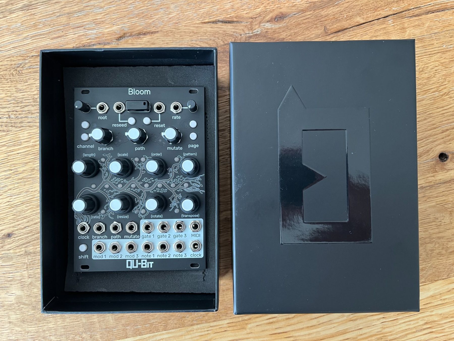 Musikinstrumente: Eurorack Modular - Module abzugeben – Gebraucht aus Wohlen AG von Corenight 6
