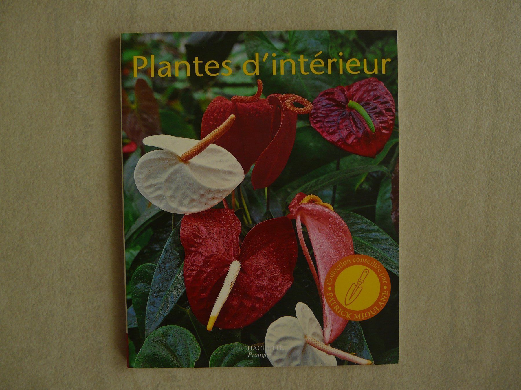 Libri: Plantes d'intérieur Hachette – Nuovo (secondo la descrizione) da ERLINSBACH venduto da doudouce