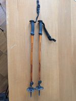 Black Diamond Skistöcke verstellbar First Strike 110cm