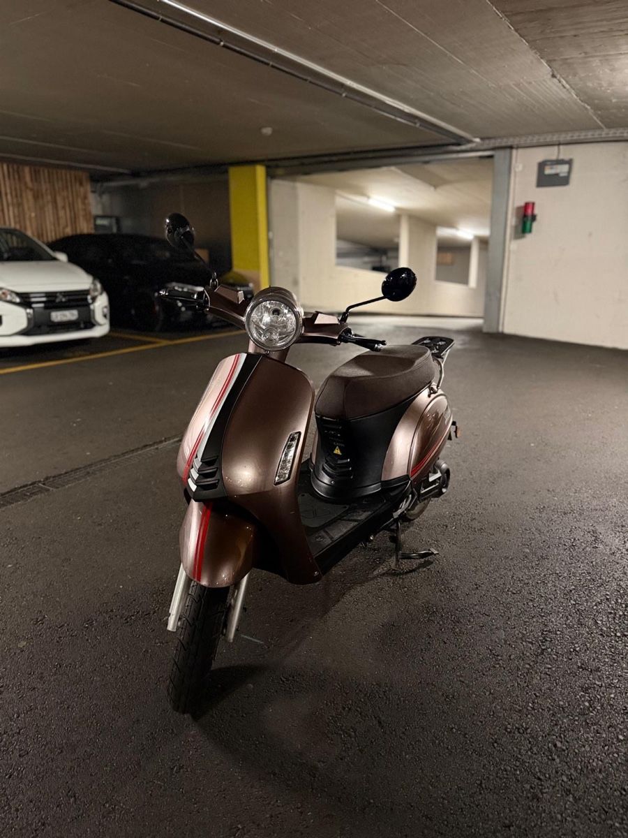 Autres: Luxxon E3000 Elektro-Roller  – Défectueux à Luzern par alh_6dhp