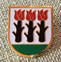 D497 - Pin Niederried b. Kallnacht BE